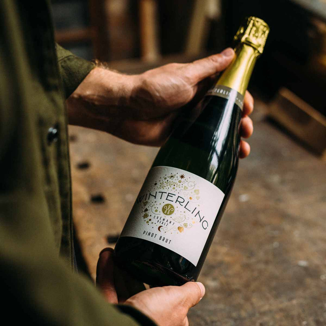 Pinot Brut - Crémant Pfalz - winterling.sekt